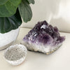 Large Thickly Pointed Amethyst Cluster