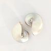 Real Rare Chambered Polished Pearl Nautilus Shell