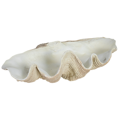 Faux Giant Clamshells - Natural Light 70 CM ***HIRE ONLY***
