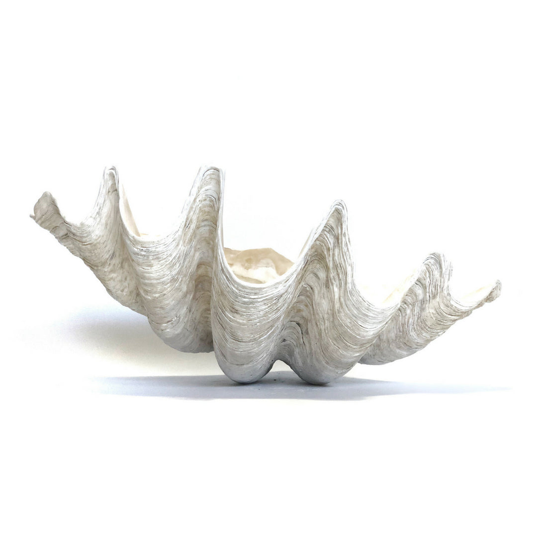 Giant Clamshells