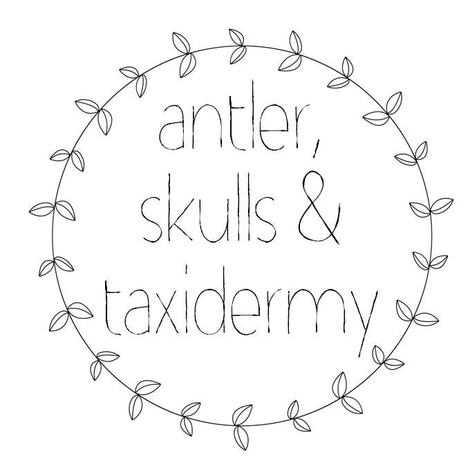 Framed Bugs & Butterflies