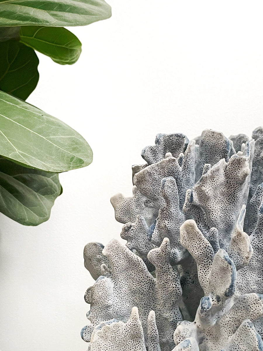 Real Blue Ridge Coral Specimen P (Oversized)