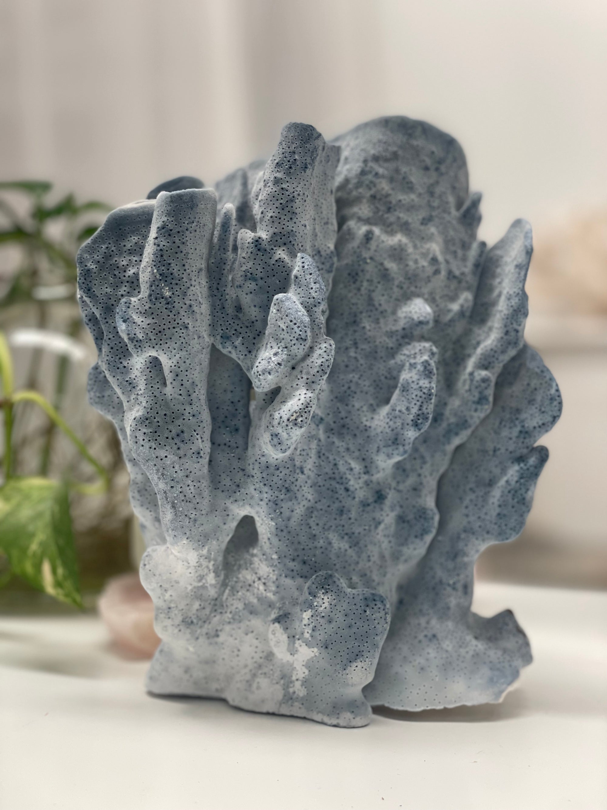 Real Blue Ridge Coral Specimen G