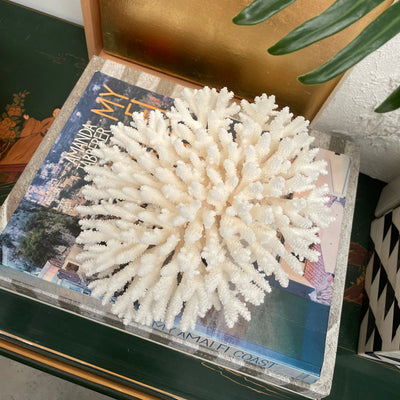 A white coral-like decorative object displayed on top of a printed magazine or book, with a gold-framed mirror behind it and a green plant leaf entering from the top right.