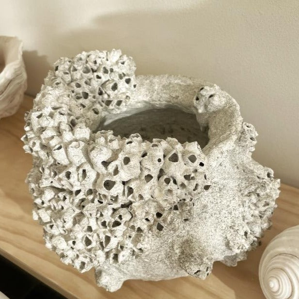 Barnacle Pot Vase 1
