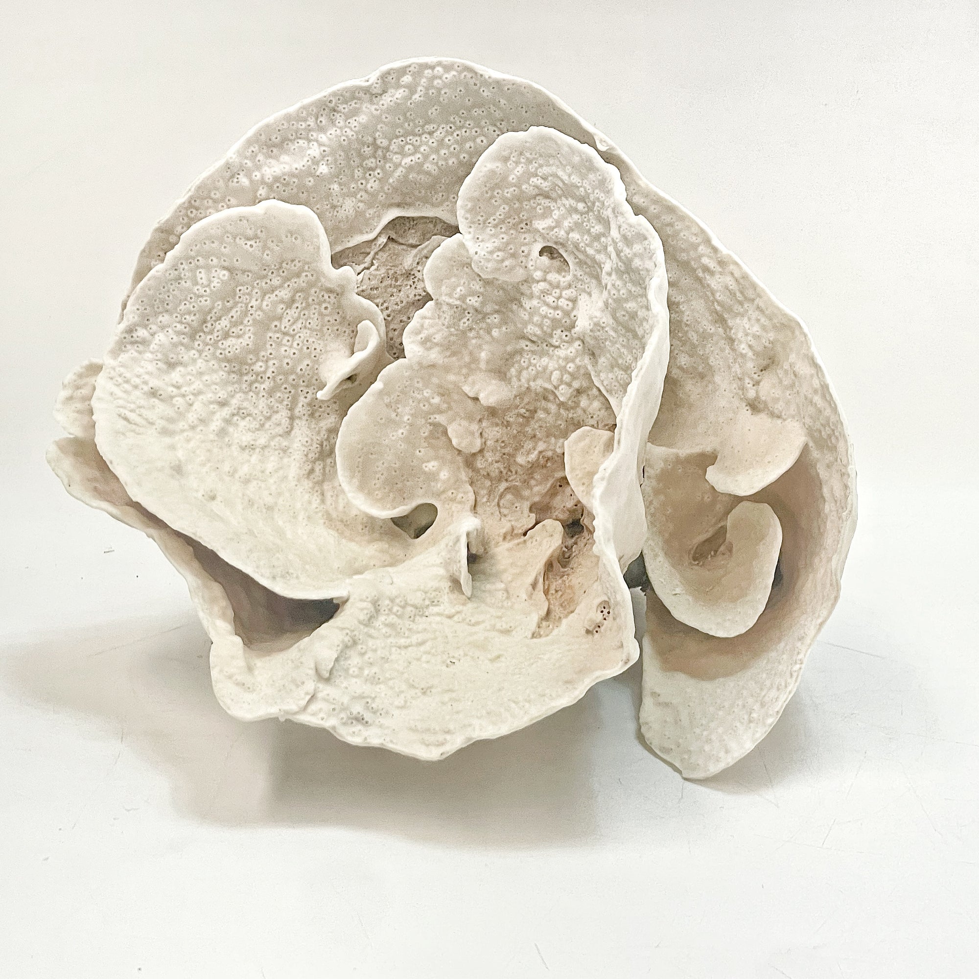 2025 Feature Collection: Turban Vase Coral Oversize #11