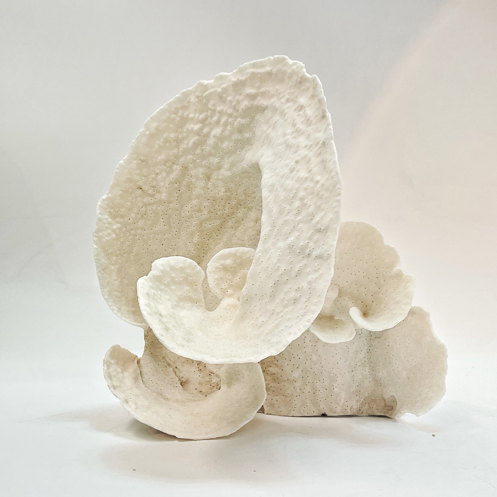 2025 Feature Collection: Turban Vase Coral Oversize #13