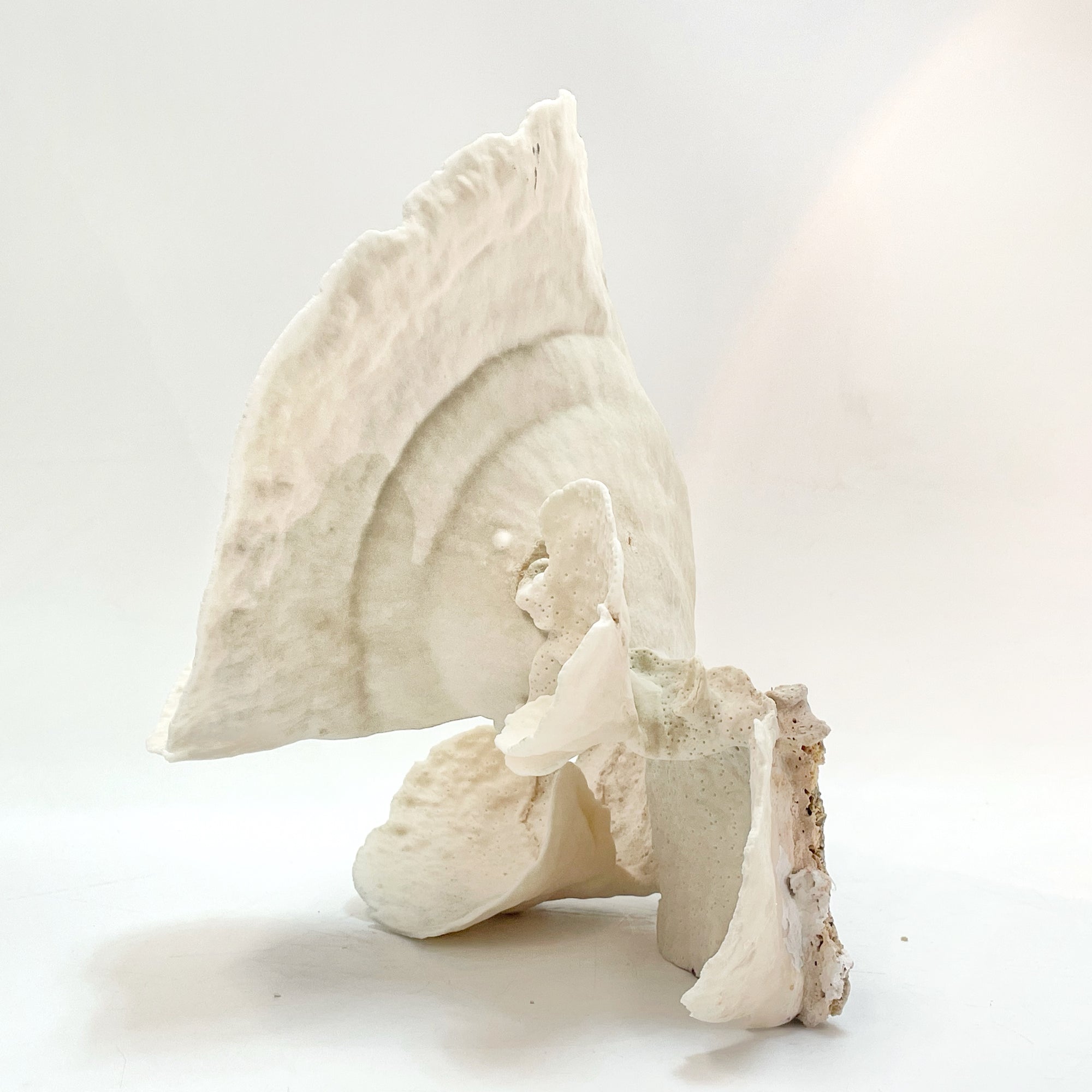 2025 Feature Collection: Turban Vase Coral Oversize #13