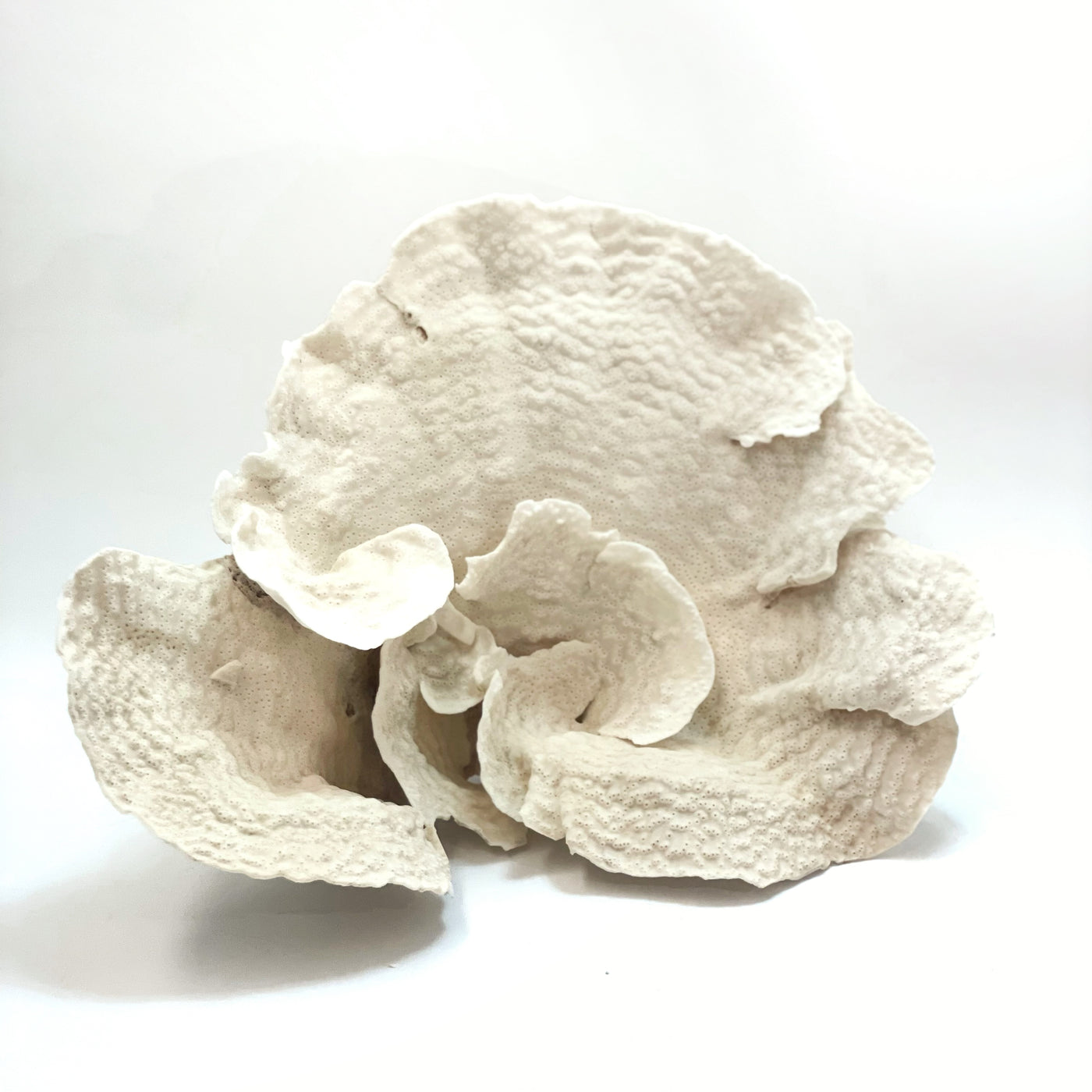 2025 Feature Collection: Turban Vase Coral Oversize #14