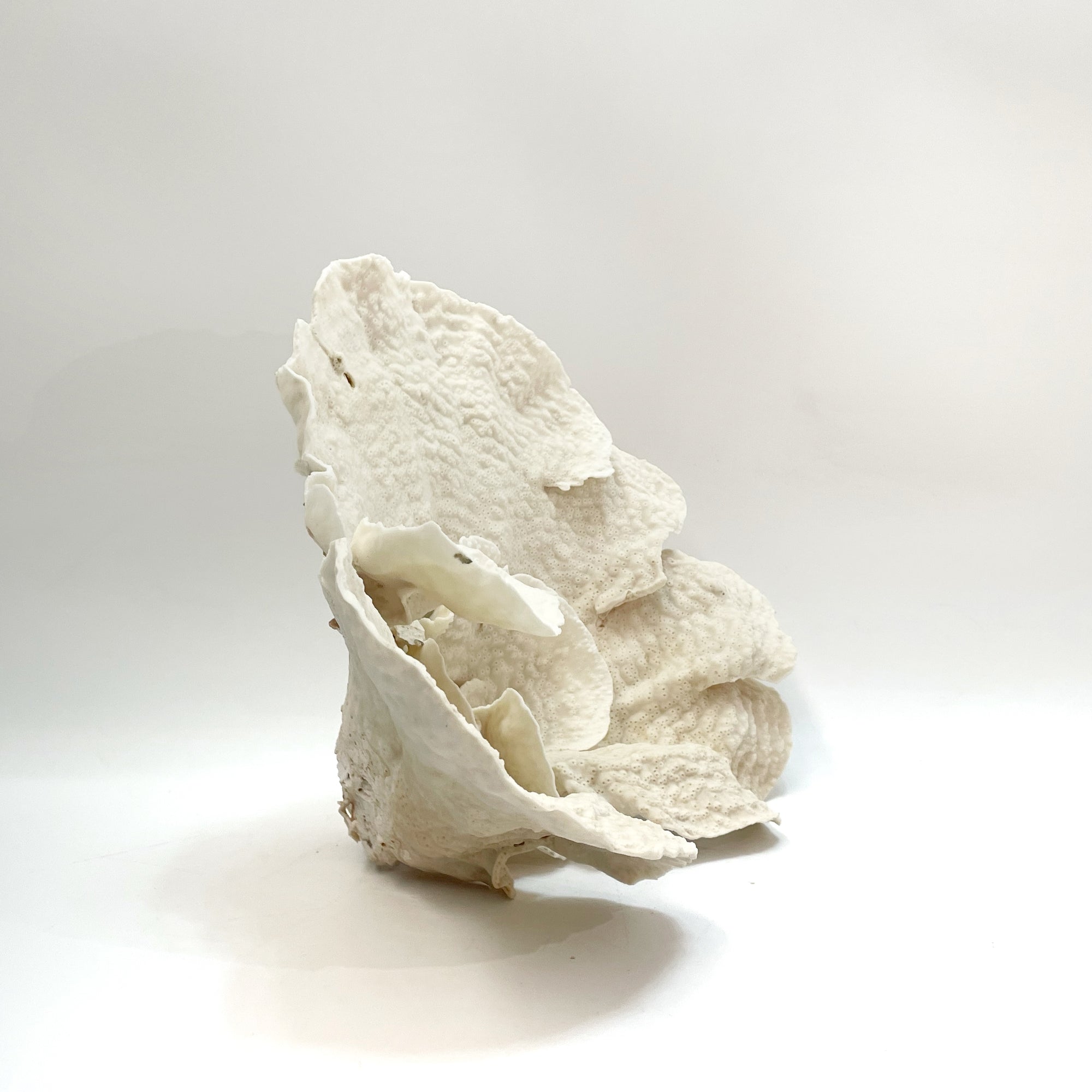 2025 Feature Collection: Turban Vase Coral Oversize #14