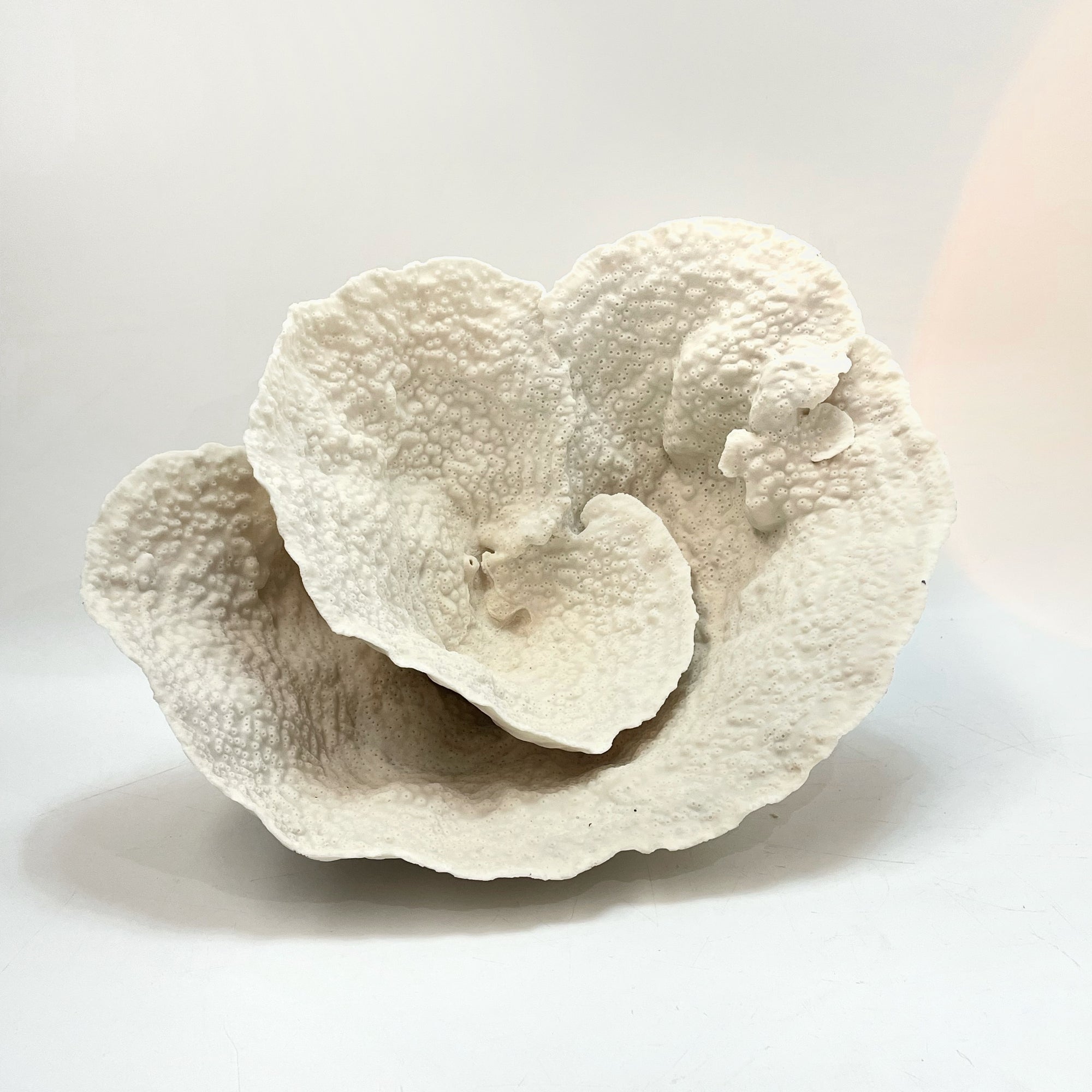 2025 Feature Collection: Turban Vase Coral Oversize #15