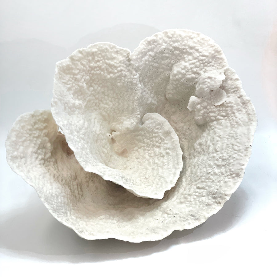 2025 Feature Collection: Turban Vase Coral Oversize #15