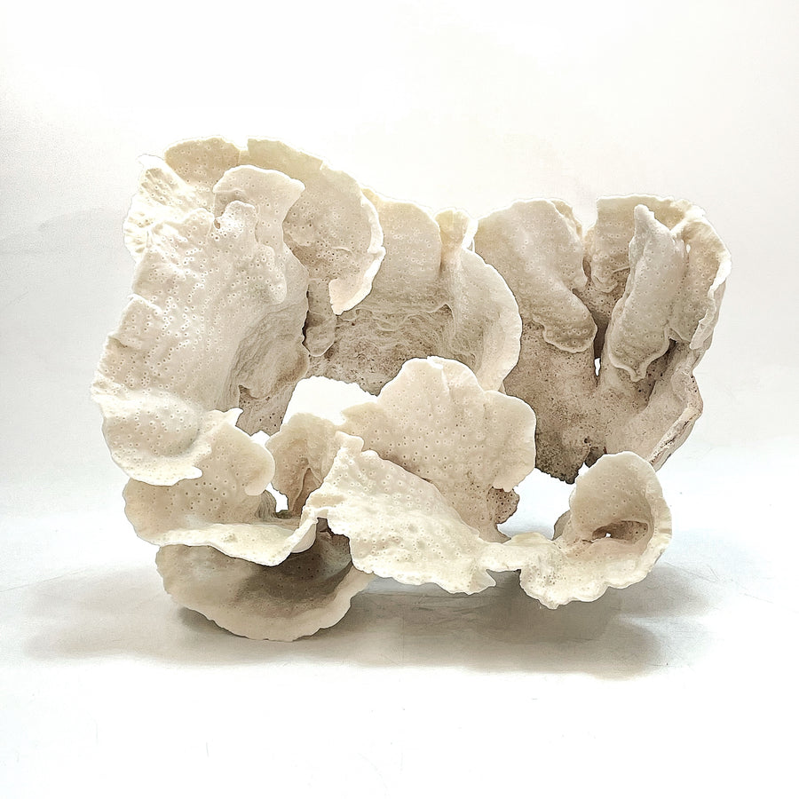 2025 Feature Collection: Turban Vase Coral Oversize #16