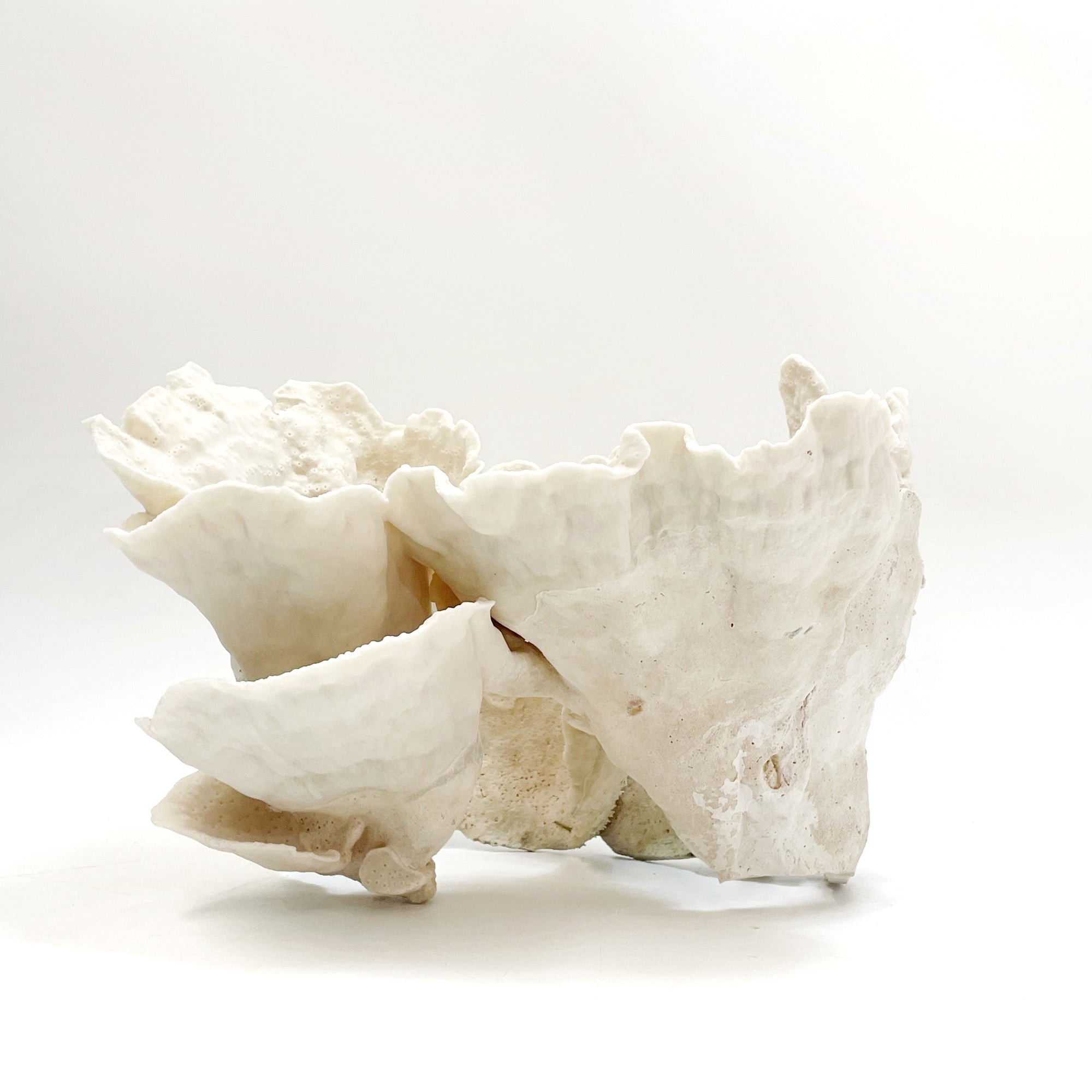 2025_Feature_Collection_Turban_Vase_Coral_Oversize_16