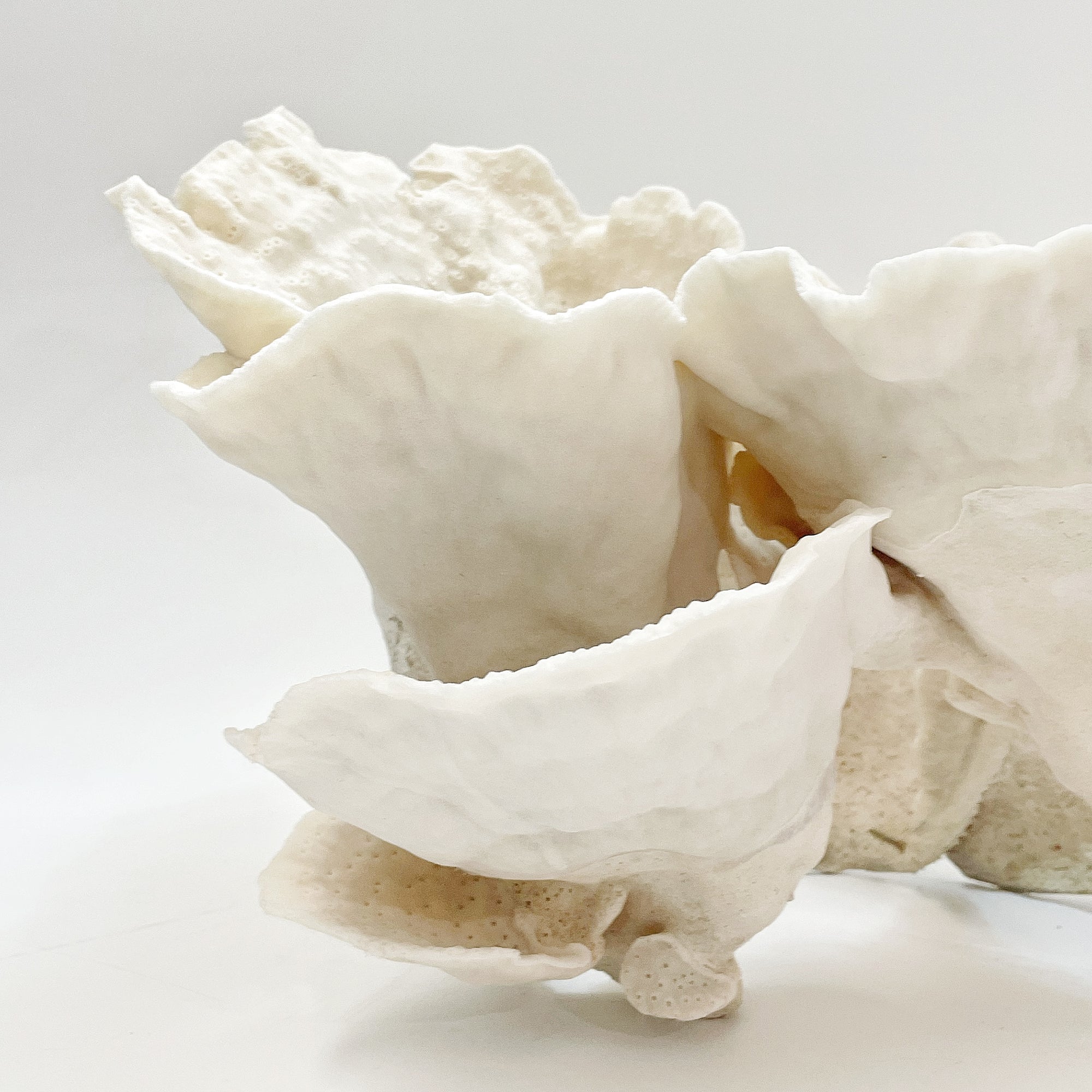 2025_Feature_Collection_Turban_Vase_Coral_Oversize_16