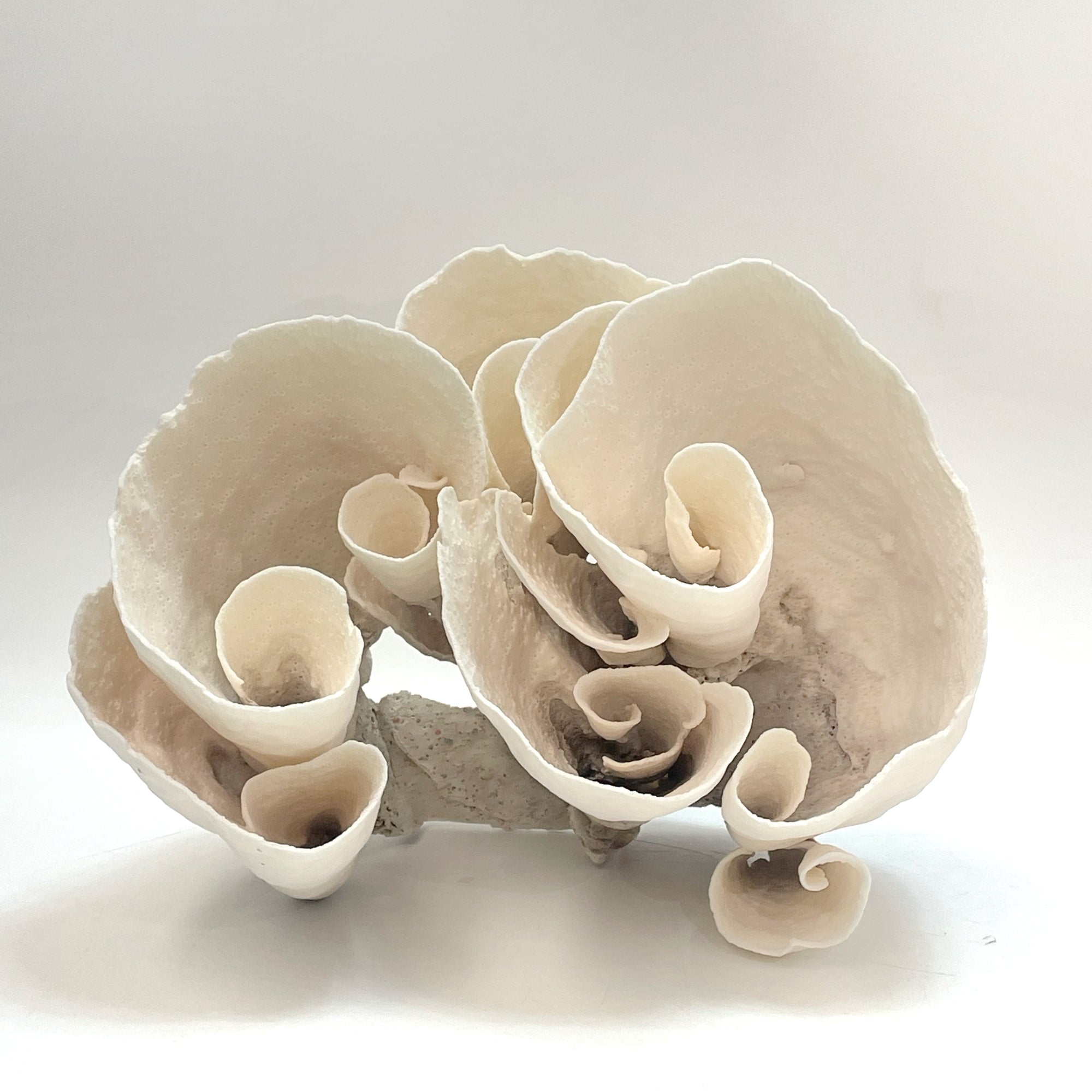 2025 Feature Collection: Turban Vase Coral Oversize #17