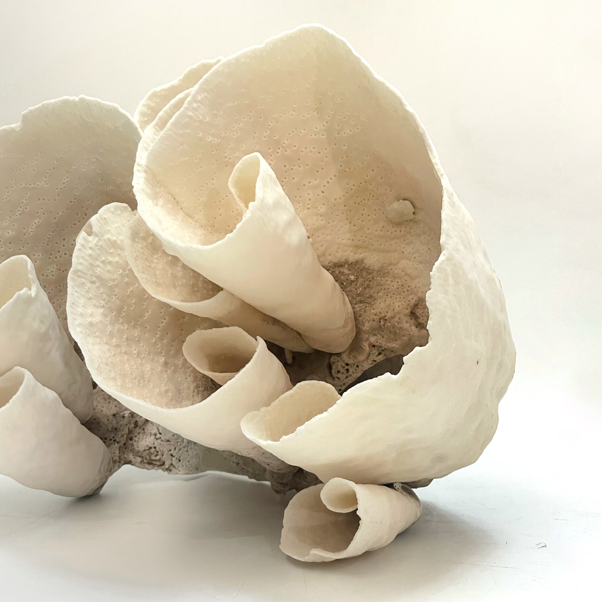 2025 Feature Collection: Turban Vase Coral Oversize #17