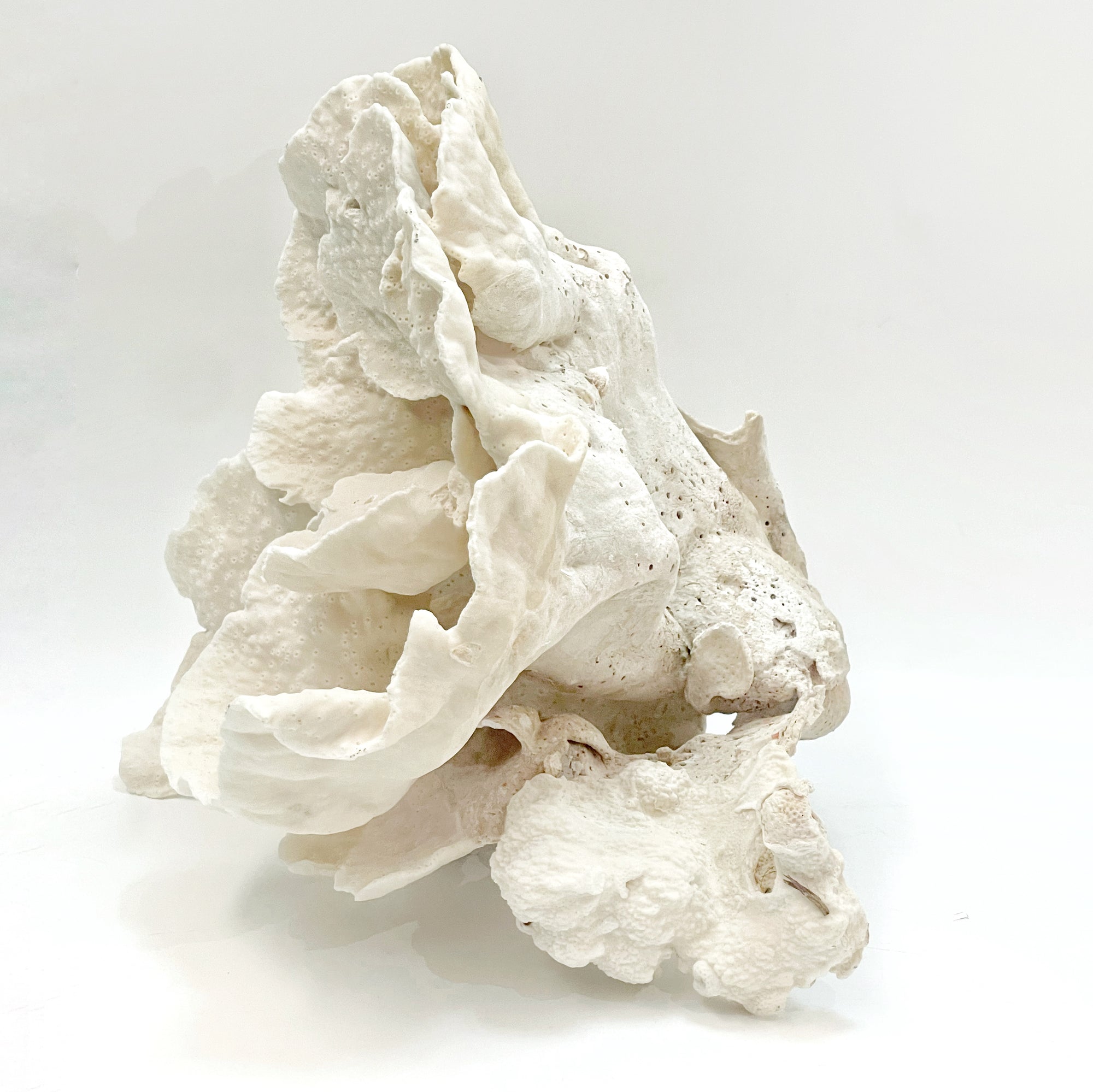 2025 Feature Collection: Turban Vase Coral Oversize #19