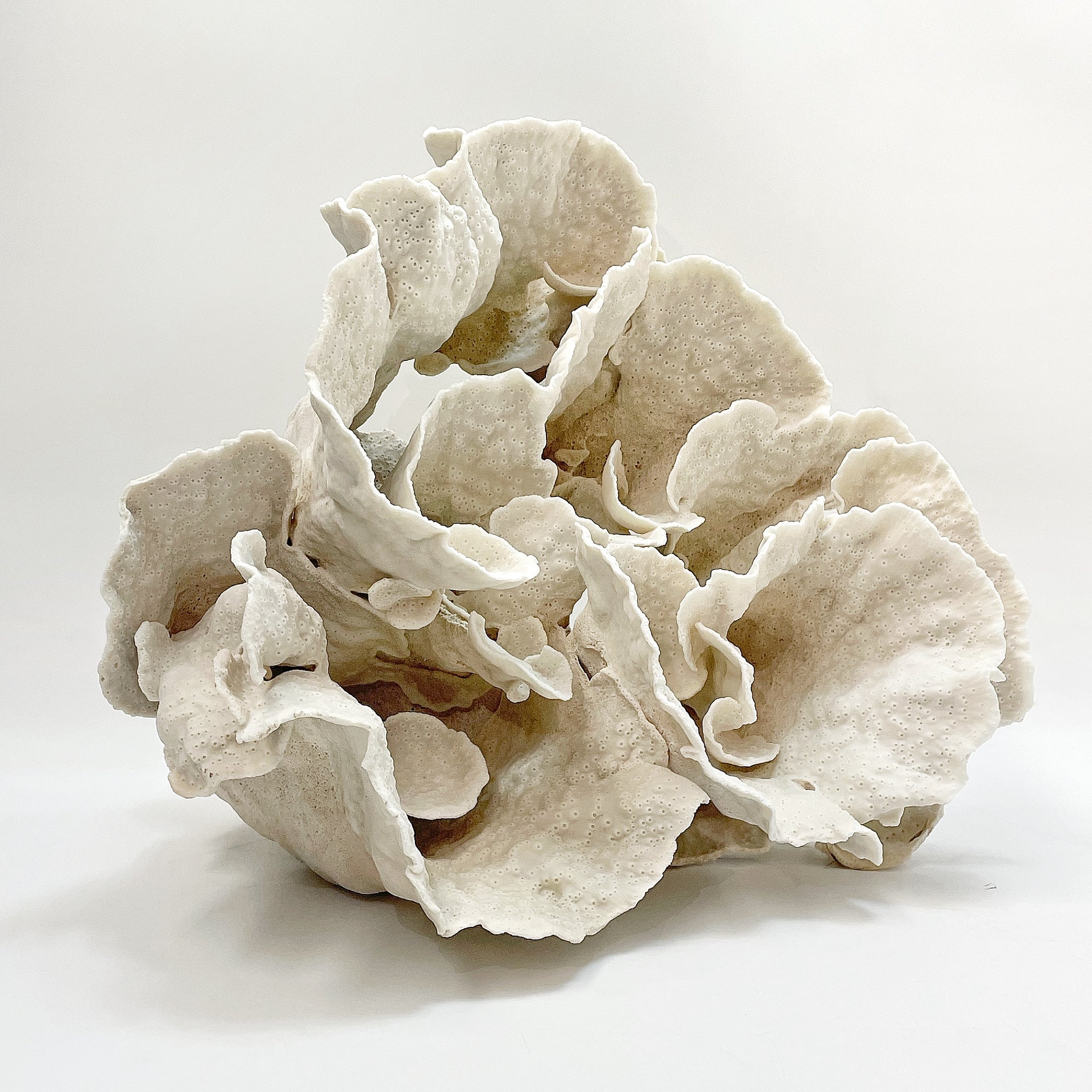 2025 Feature Collection: Turban Vase Coral Oversize #20