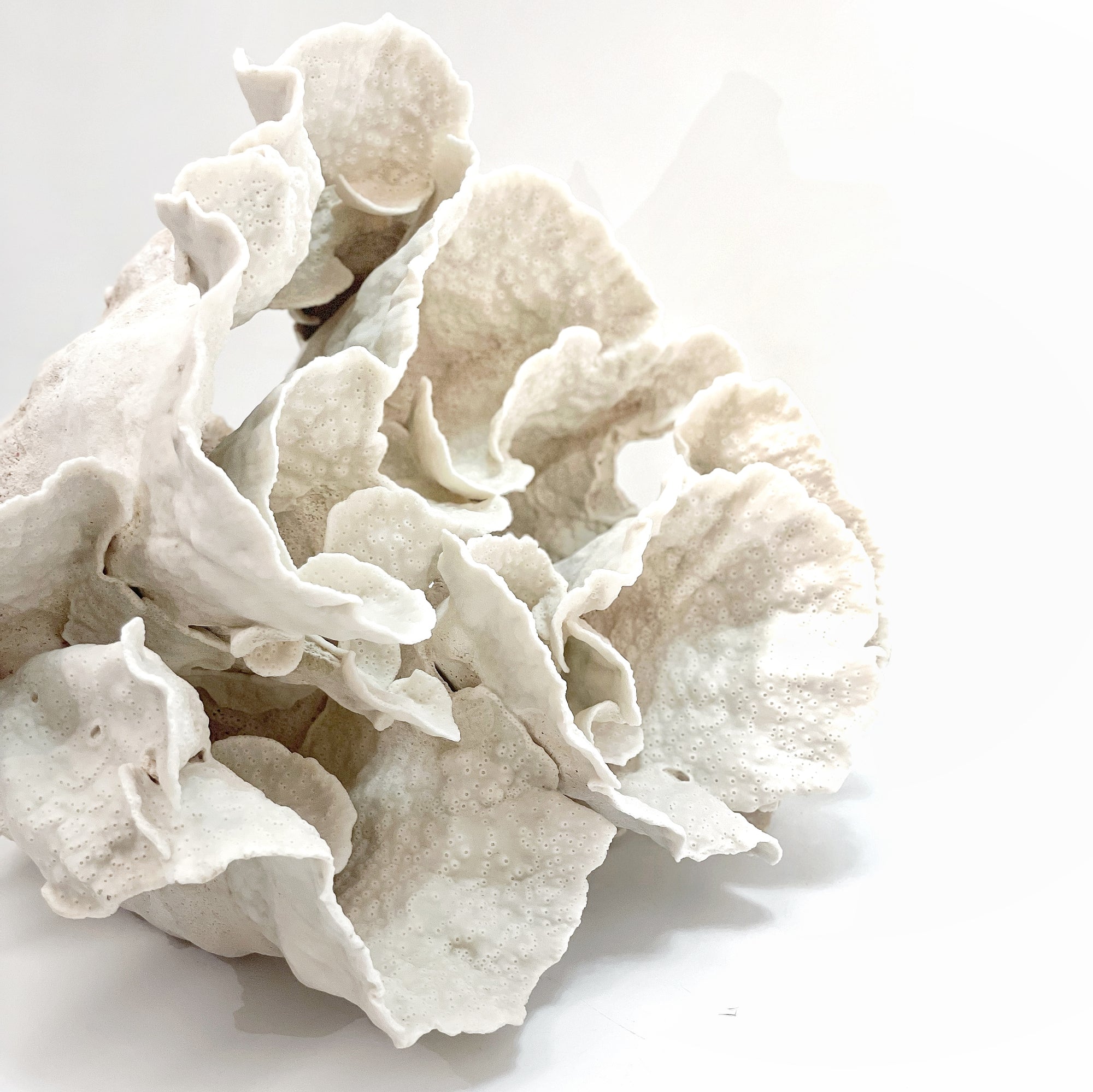 2025 Feature Collection: Turban Vase Coral Oversize #20