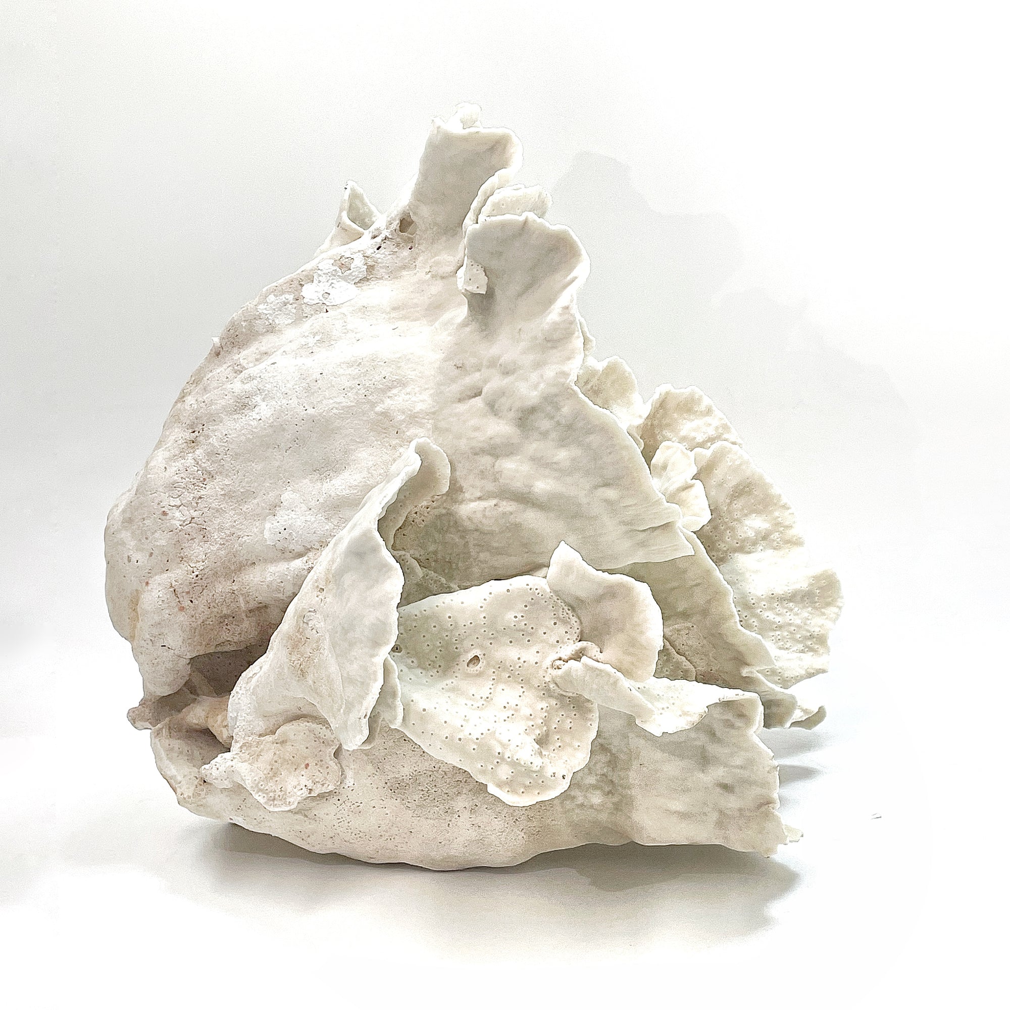 2025 Feature Collection: Turban Vase Coral Oversize #20