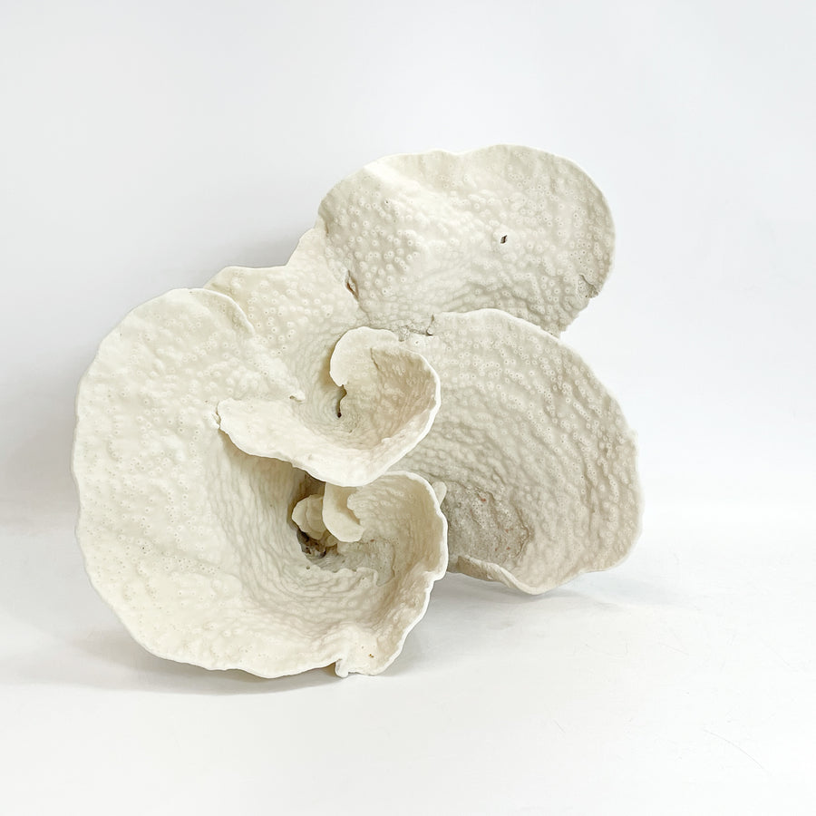 2025 Feature Collection: Turban Vase Coral Oversize #9