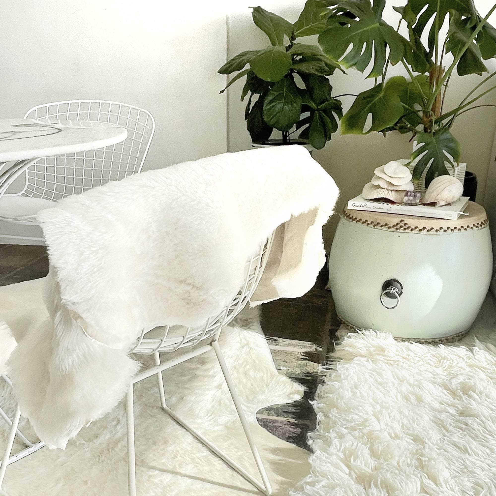 Genuine Australian Single Face Shorn Sheepskin Throw Liner - Ivory