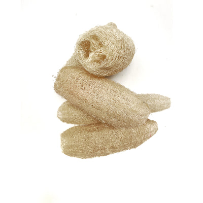 Natural Loofah Pods - Set 3