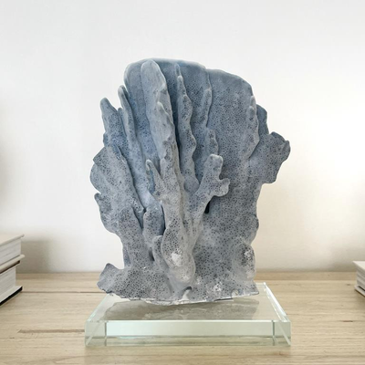 Real Blue Ridge Coral Specimen G