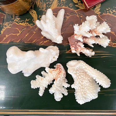 Mini Coral Bundles Set of 5
