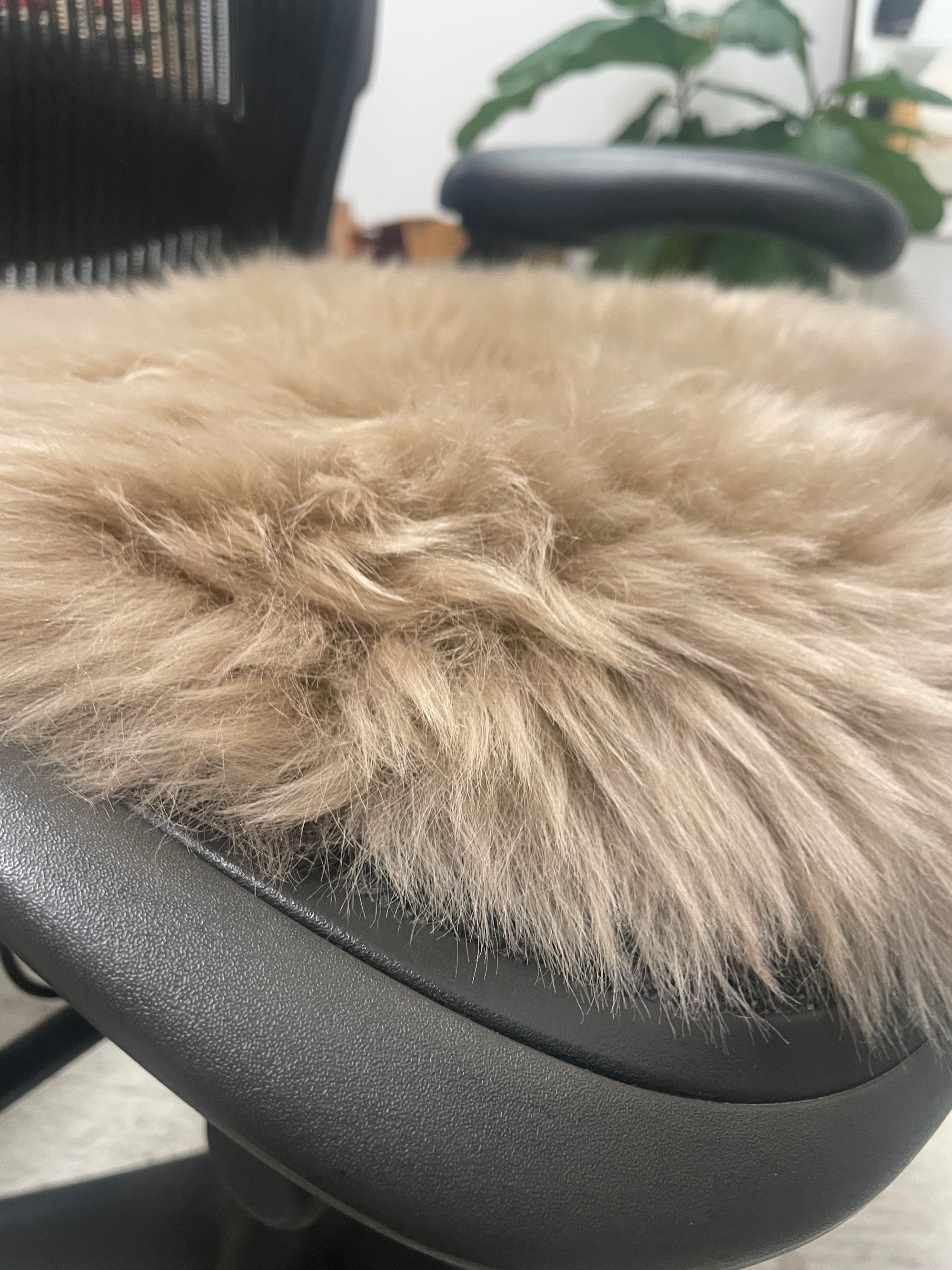 Genuine Australian Merino Sheepskin Round Dining Chair Seat Cover - Biscuit