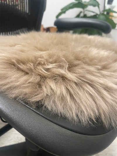 Genuine Australian Merino Sheepskin Round Dining Chair Seat Cover - Biscuit