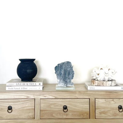 Real Blue Ridge Coral Specimen G