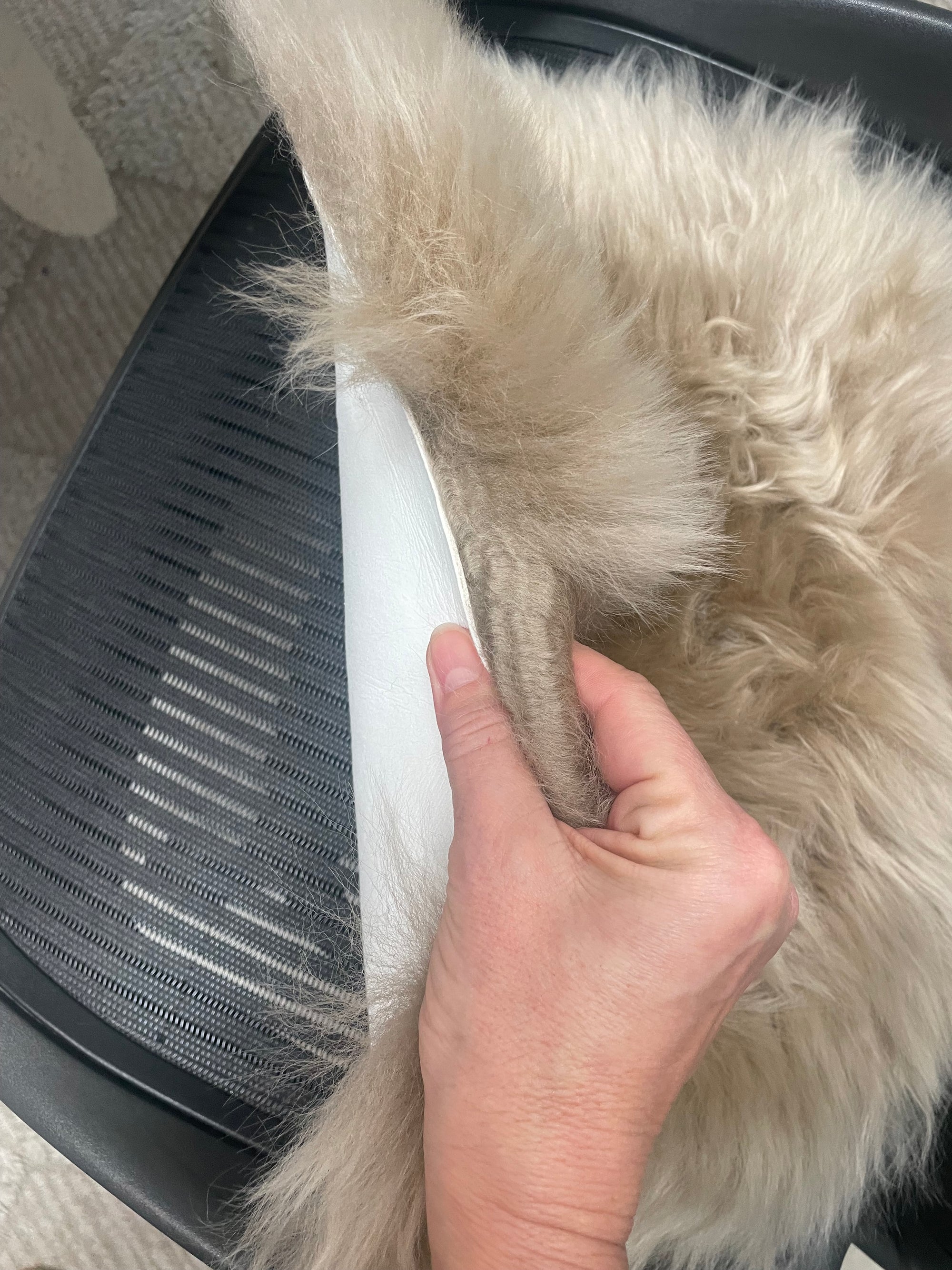 Genuine Australian Merino Sheepskin Round Dining Chair Seat Cover - Biscuit