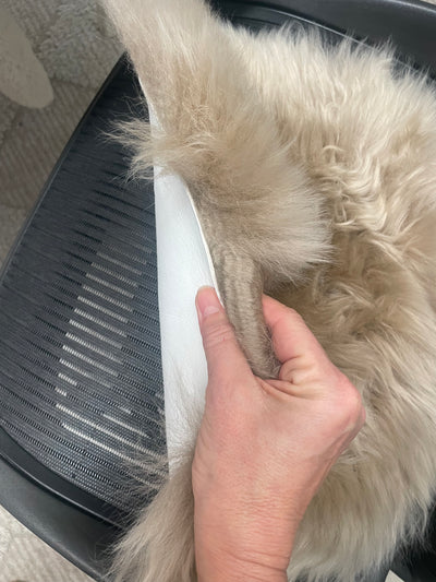 Genuine Australian Merino Sheepskin Round Dining Chair Seat Cover - Biscuit