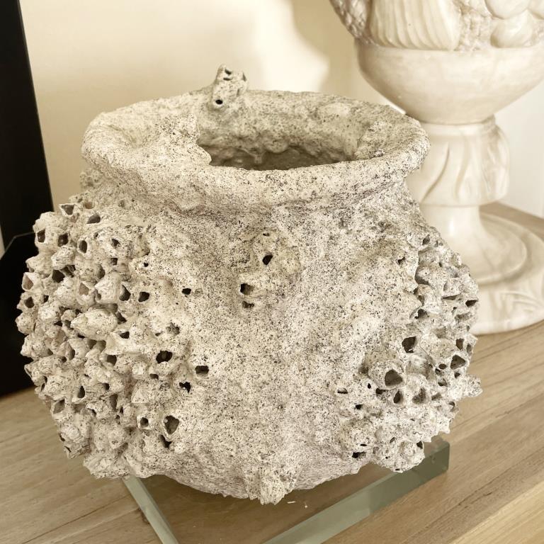 Barnacle Pot Vase 4