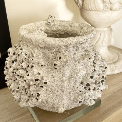 Barnacle Pot Vase 4