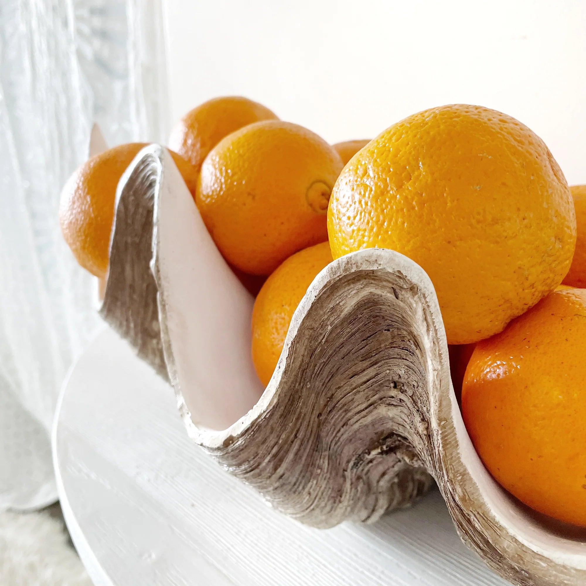 Faux Giant Clamshells Natural Vintage ***HIRE ONLY***