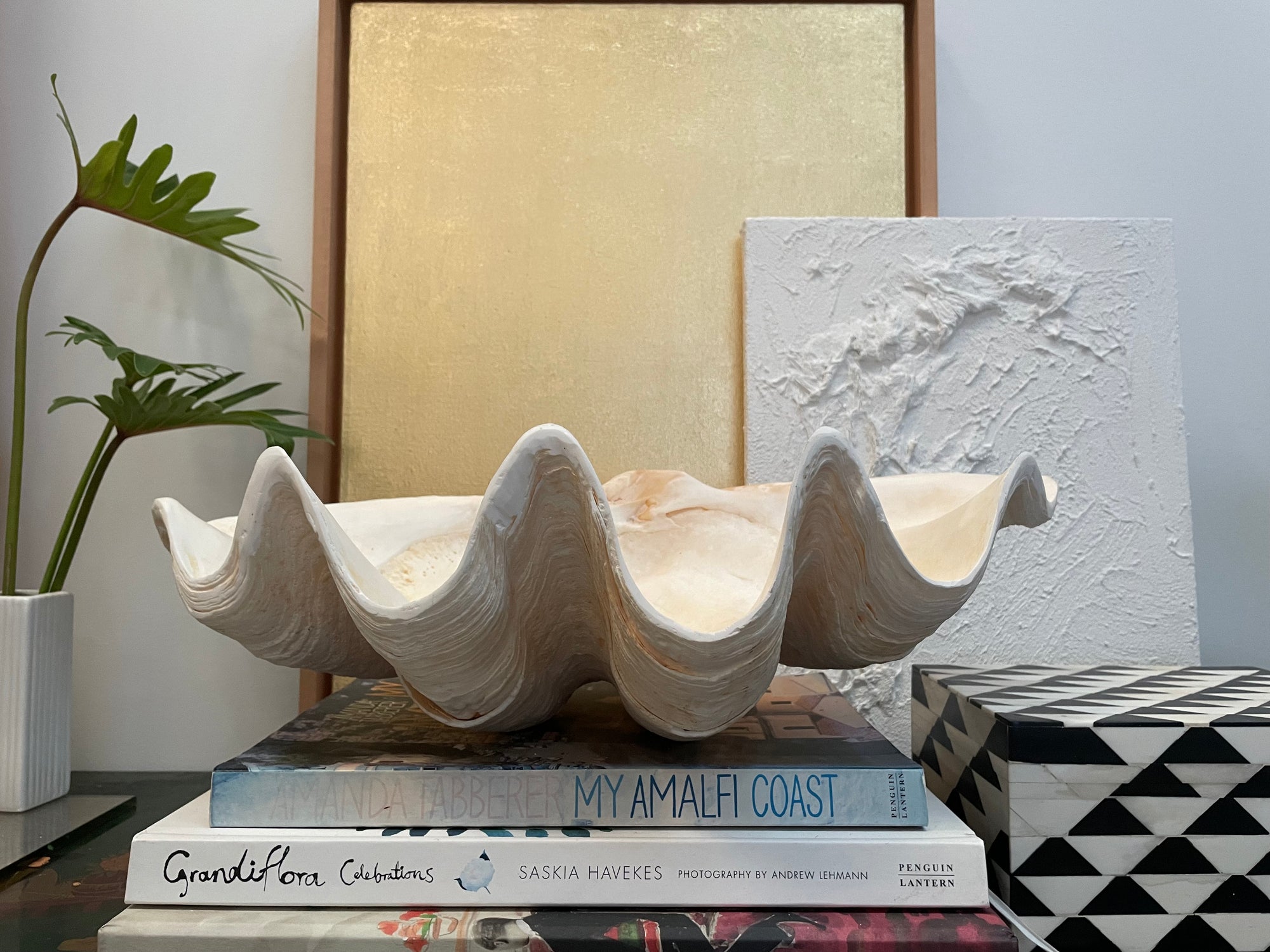 Real Giant Clamshell 45.5 CM