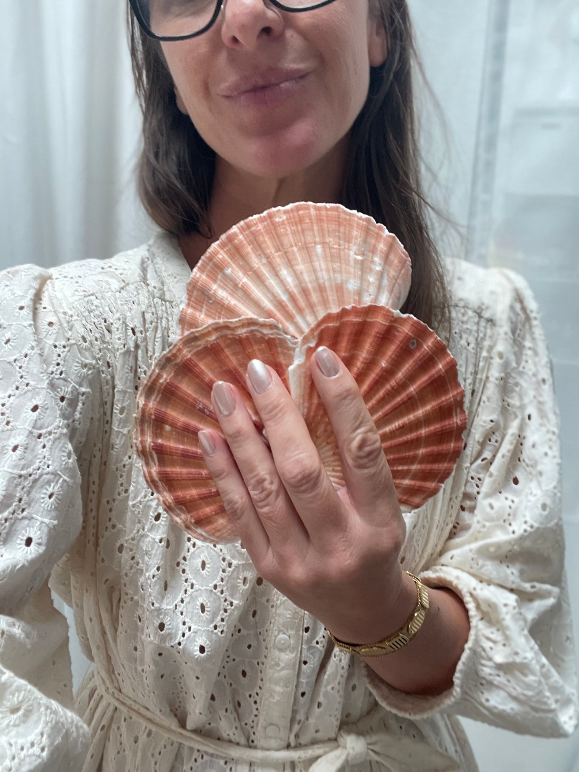 Real Natural Rustic Scallop Shells Set 5