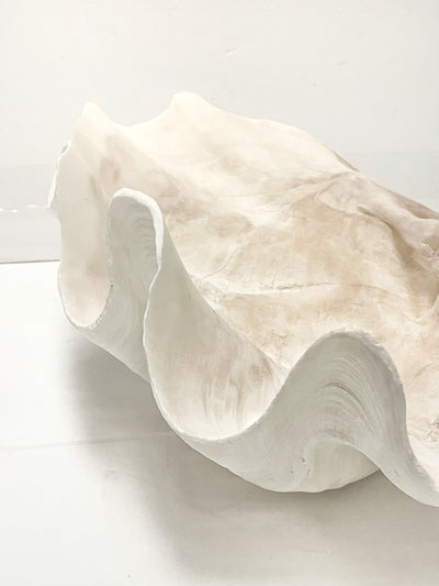 Real Giant Clamshell 43 CM