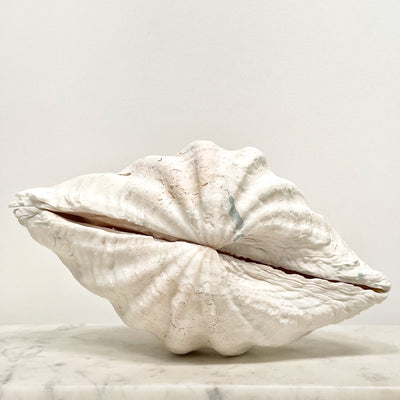 Real Clamshell Double 27 CM