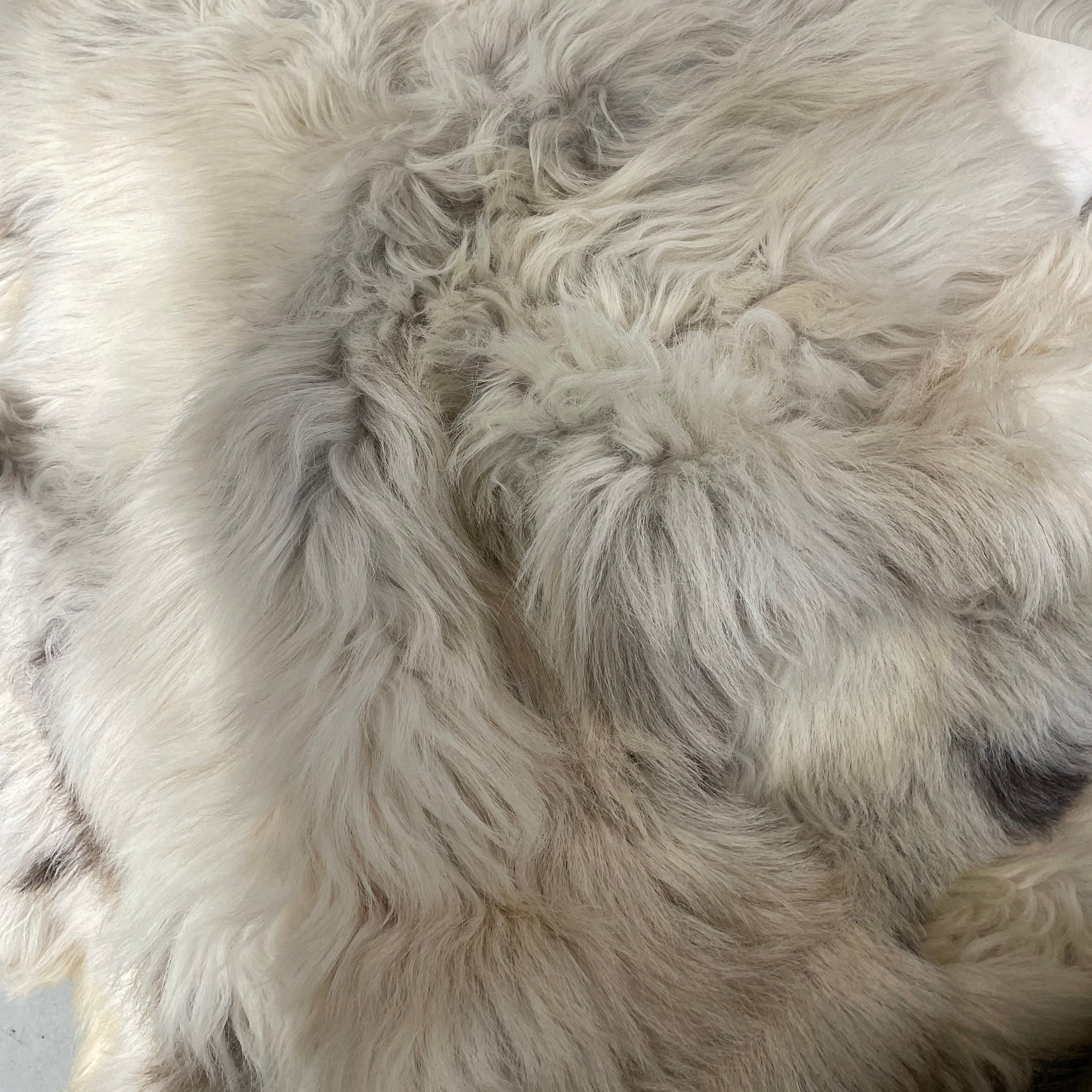 European Moorland Sheepskin - Natural