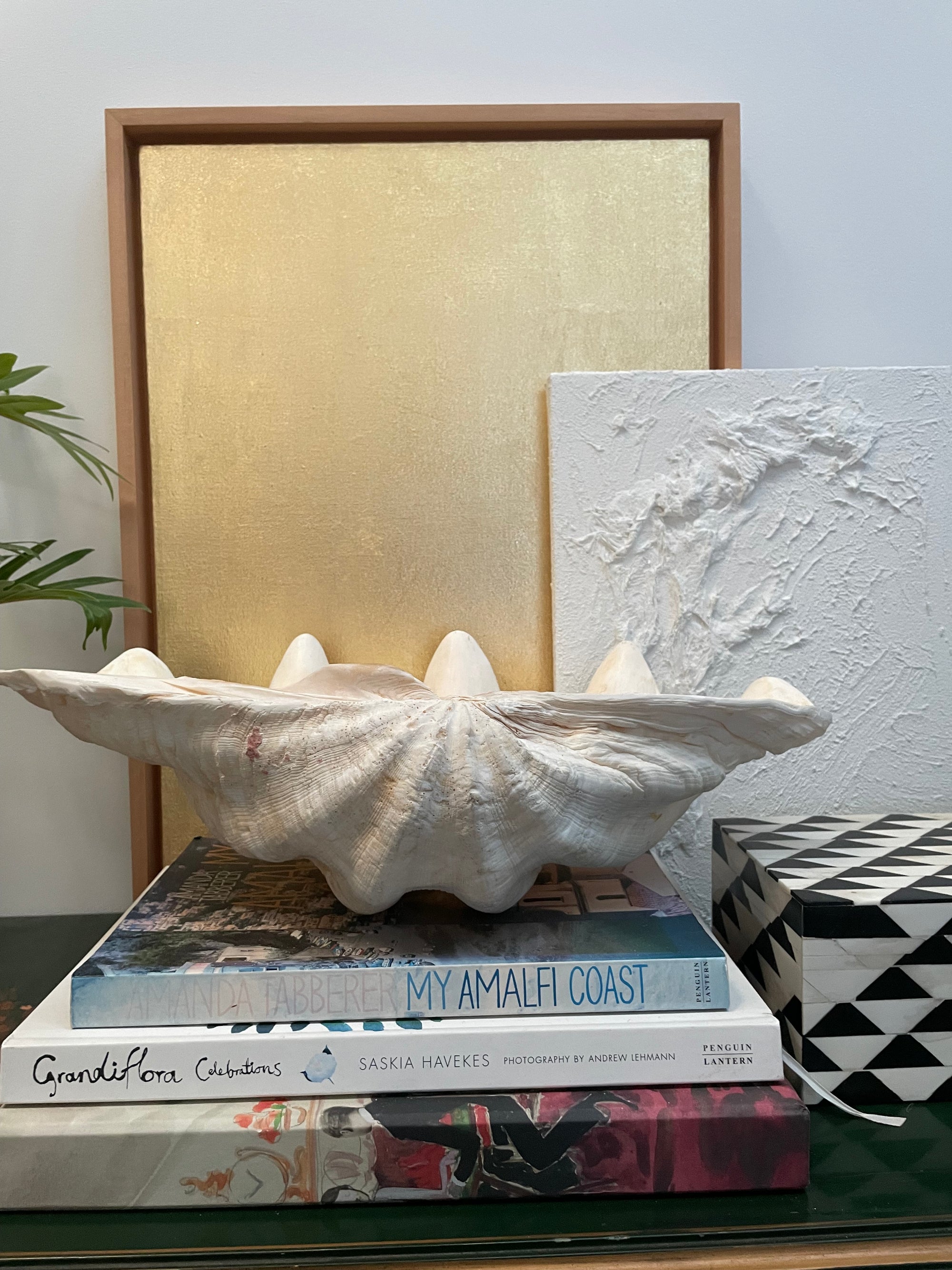 Real Giant Clamshell 45.5 CM