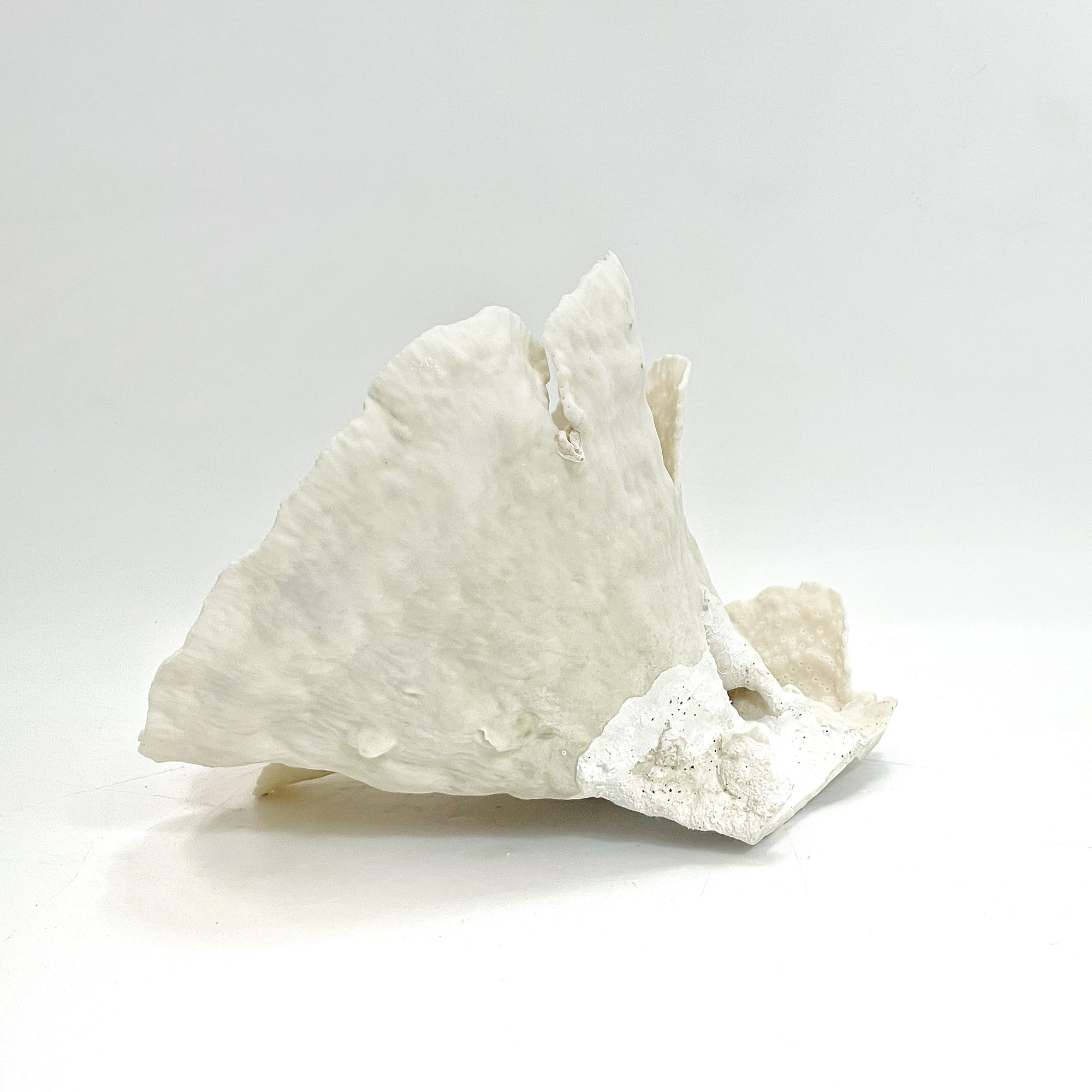 2025 Feature Collection: Turban Vase Coral Oversize #10