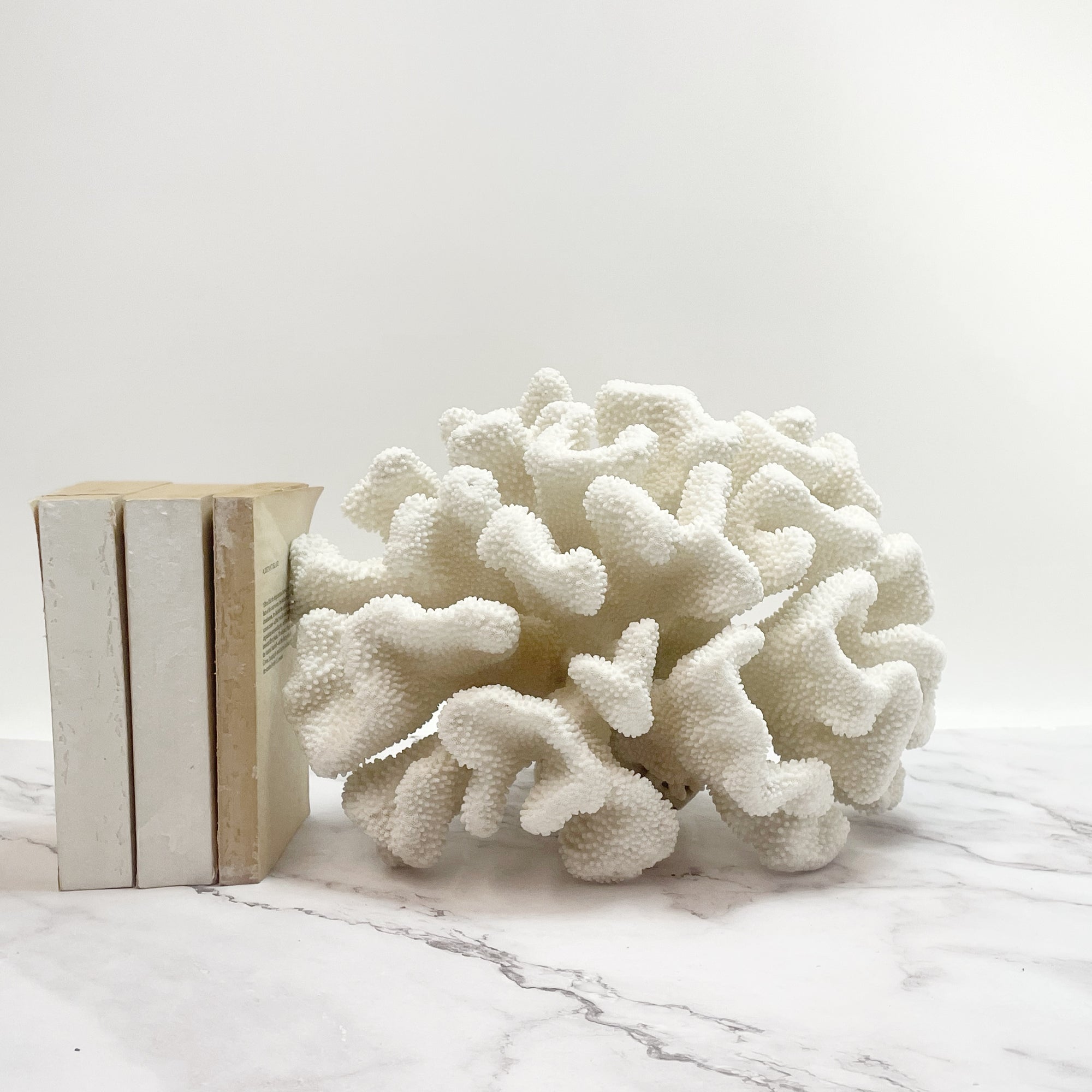 Soft Cauliflower Coral Extra Large