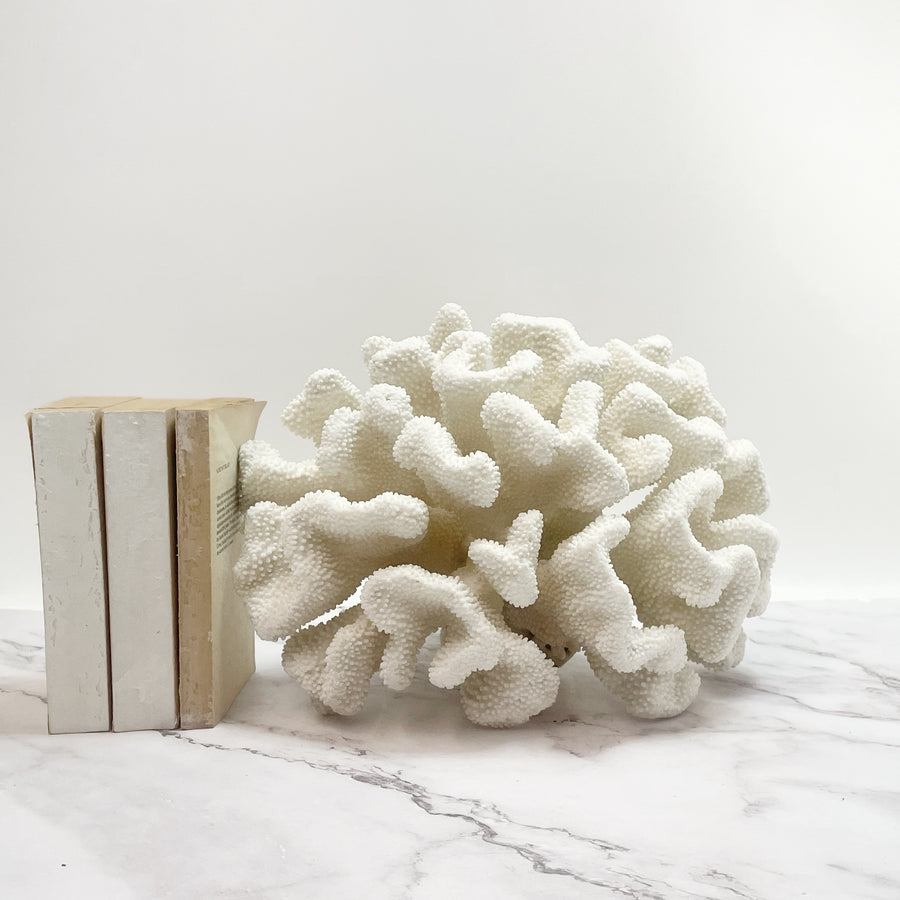 Soft Cauliflower Coral Extra Large