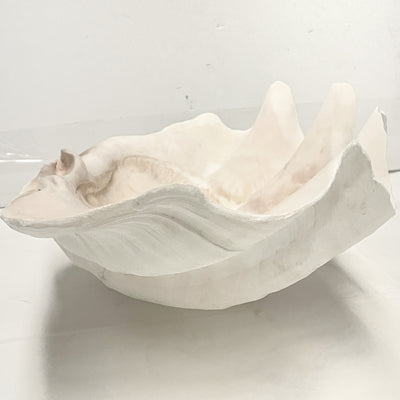 Real Giant Clamshell 43 CM