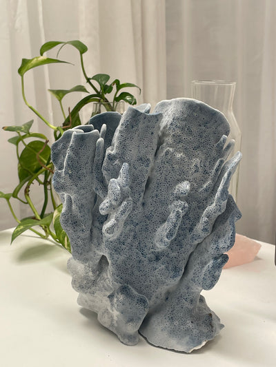 Real Blue Ridge Coral Specimen G