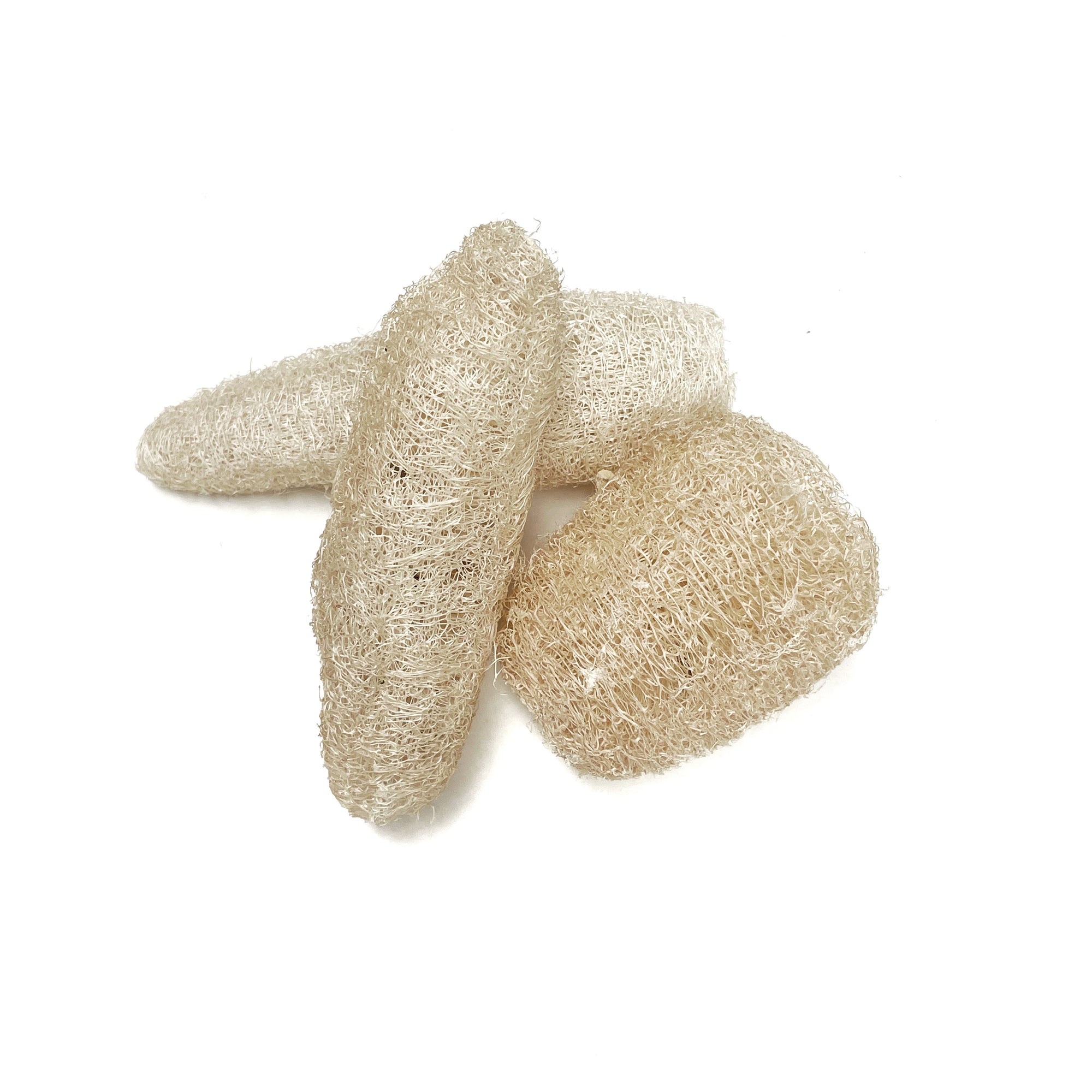 Natural Loofah Pods - Set 3